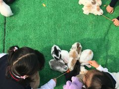 游乐设施-穹窿山景区