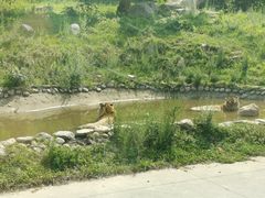 -西安秦岭野生动物园