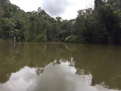 -热带雨林自然公园