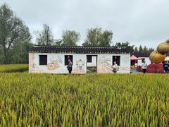 -溱湖国家湿地公园