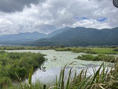 -腾冲北海湿地