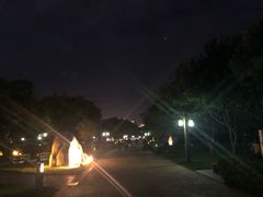 -唐城墙遗址公园