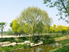 -东郊湿地公园