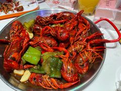 -杨氏青龙虾·羊蝎子(托乐嘉店)
