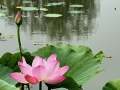 -圆明园停车场