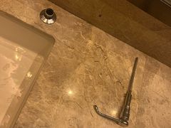-榛悦隆堡成都酒店(春熙路太古里店)
