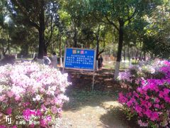 -洛龙公园
