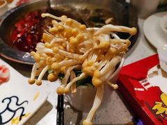 -大龙燚火锅