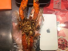 麻辣澳洲小龙虾-虾胡闹·澳洲小龙虾·烧烤(福田鲨鱼店)
