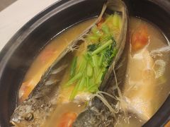 -潮江春(阳光店)