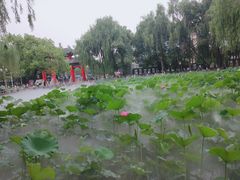 -四川大学(望江校区)