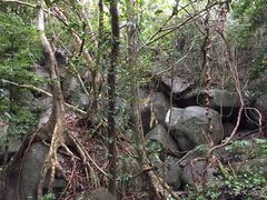 -七仙岭温泉国家森林公园