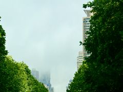 -文君烧烤(崂山店)