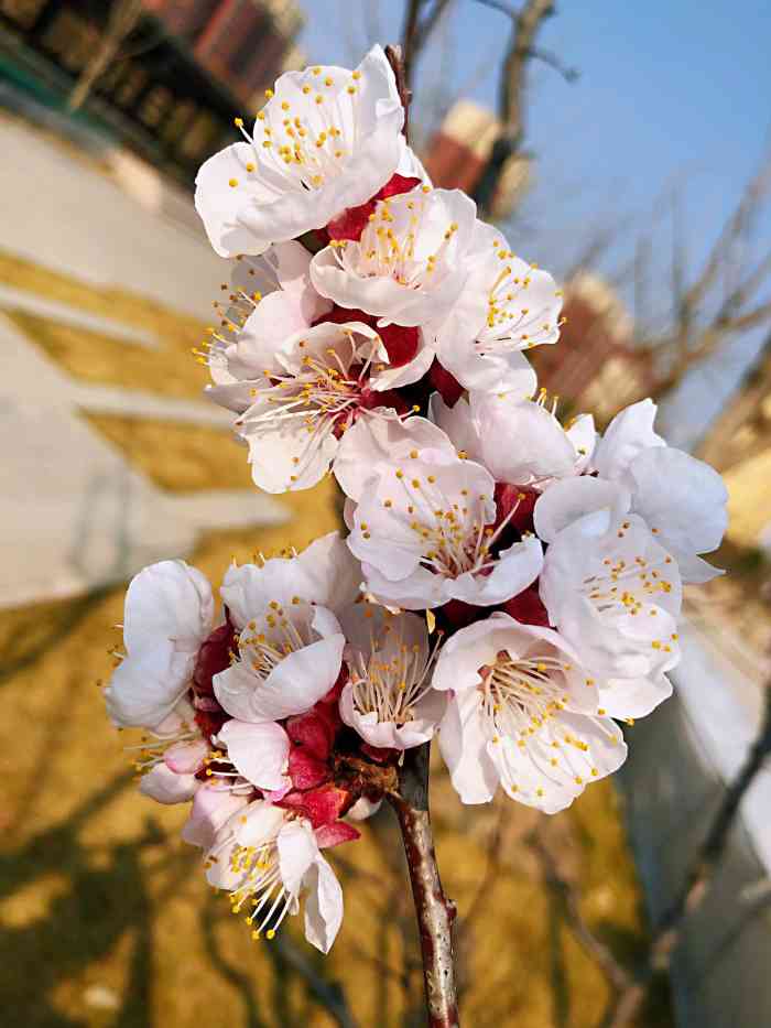 海淀區西小口公園-