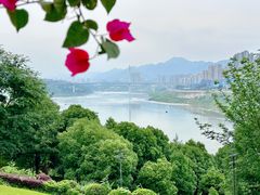 -金海湾滨江公园