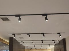 -东方饺子王臻味餐厅(新嘉坡城店)