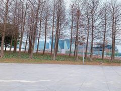 -上海山野camping·户外天幕烧烤·团建拓展营地