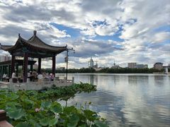 -莲花池公园
