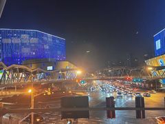 -真北路(地铁站)