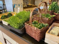 -舟山希尔顿酒店·開自助餐厅
