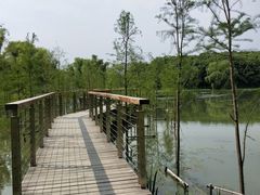 -昆山城市生态森林公园