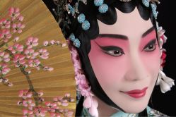 -胭脂猫京剧摄影