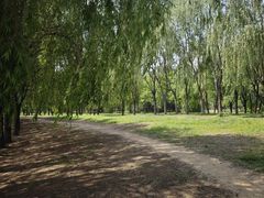 -东坝千亩湖公园