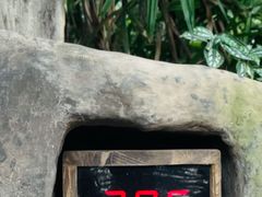 -融汇温泉
