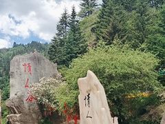 -芦芽山旅游度假区