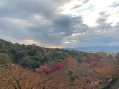 -有栖山 清光院 清水寺