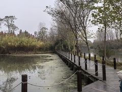 -溱湖国家湿地公园