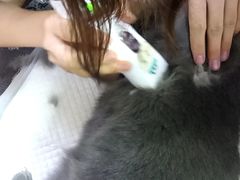 -美联众合动物医院·24h转诊中心