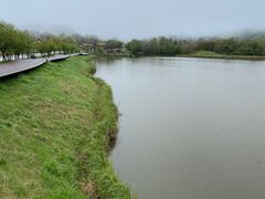 -大九湖