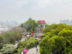 -黄鹤楼公园(黄鹤楼)