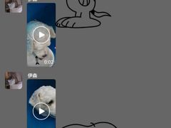 -伟伟宠物医院·CT影像中心·瑞派犬猫综合性门诊(汉口总院)
