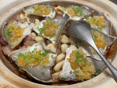 -新吉士·上海菜(浦东LCM置汇旭辉店)
