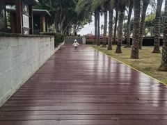 -三亚海棠湾万丽度假酒店