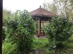 -呼兰河口湿地公园