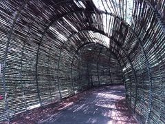 -北海金海湾红树林生态旅游区