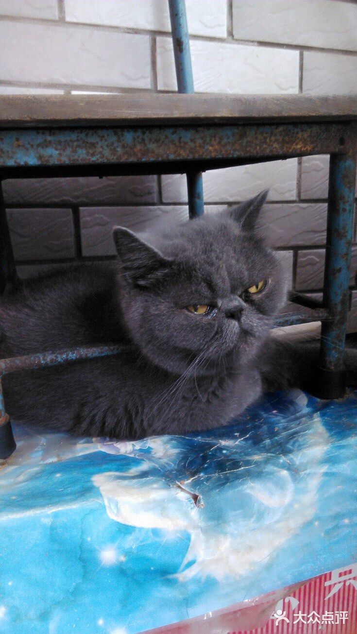 对不起的淘小桃🍑为什么不能珍惜过去的好时光？