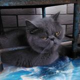 对不起的淘小桃🍑为什么不能珍惜过去的好时光？