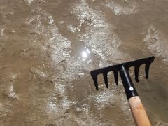 -北海金海湾红树林生态旅游区