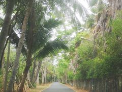 -东寨港红树林旅游区