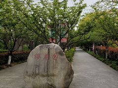 -高东镇樱花园