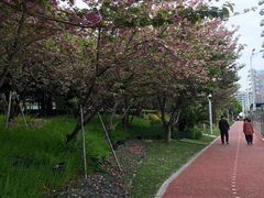 -北外滩滨江绿地