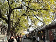 -北京国子监胡同