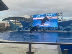 -上海海昌海洋公园