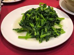 酒香豆苗-老吉士酒家(天平路店)