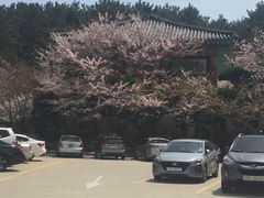-海东龙宫寺