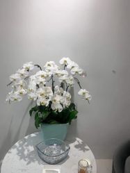 -LA BELLEZA倍丽莎美发沙龙